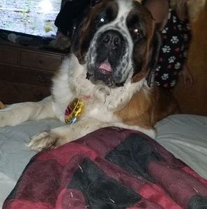 Meet your Posher, Frank